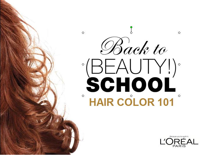 L'Oreal Paris Target Concierge Training ppt.